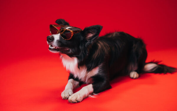 M jdz vnieka Portrets IdejaDavanai LV